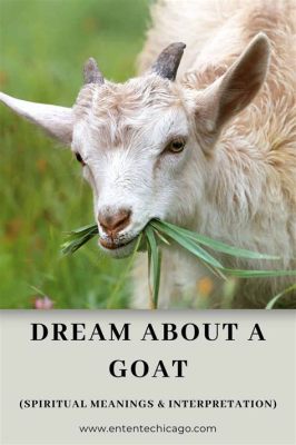  The Goat Who Dreamed of Heaven: A Whimsical Tale Exploring Ethiopian Identity and Ambition!